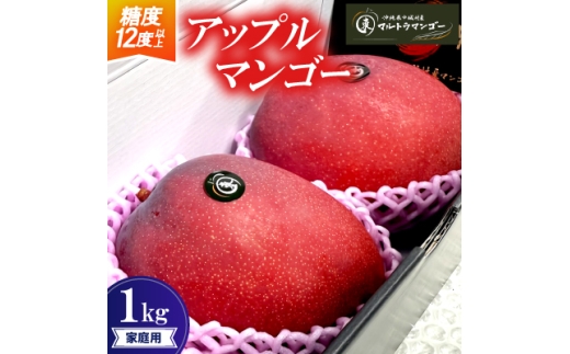 【2027年6月下旬から順次発送】マルトウマンゴーの家庭用アップルマンゴー1kg【1670253】