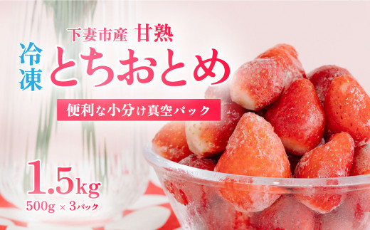【 訳あり 】 冷凍いちご 1.5kg  ( 500g x 3 ) 甘熟 完熟【2026年4月ごろ発送予定】【 凍眠冷凍 】 Ben‘ｓ Berry  【 いちご イチゴ 苺 とちおとめ 冷凍いちご 便利 甘熟 完熟 甘い ストロベリー 果物 フルーツ 】[SZR]
