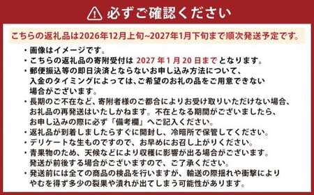 熊本県産 ハウス デコポン 約5kg 蜜柑 みかん 柑橘 果物 くだもの フルーツ 【2026年12月上旬発送開始】