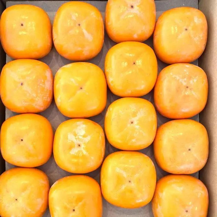 【秋の味覚】和歌山産たねなし柿2L～4Lサイズ約4kg（化粧箱入り）★2026年10月頃より順次発送［TM192］
