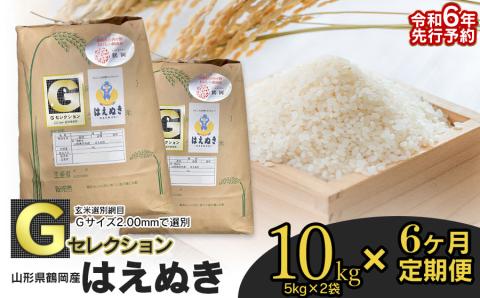 【令和6年産先行予約】【定期便6ヶ月】 Gセレクション はえぬき 精米 10kg (5kg×2袋)×6ヶ月 山形県鶴岡市産 F66-001　鶴岡地区物産協同組合