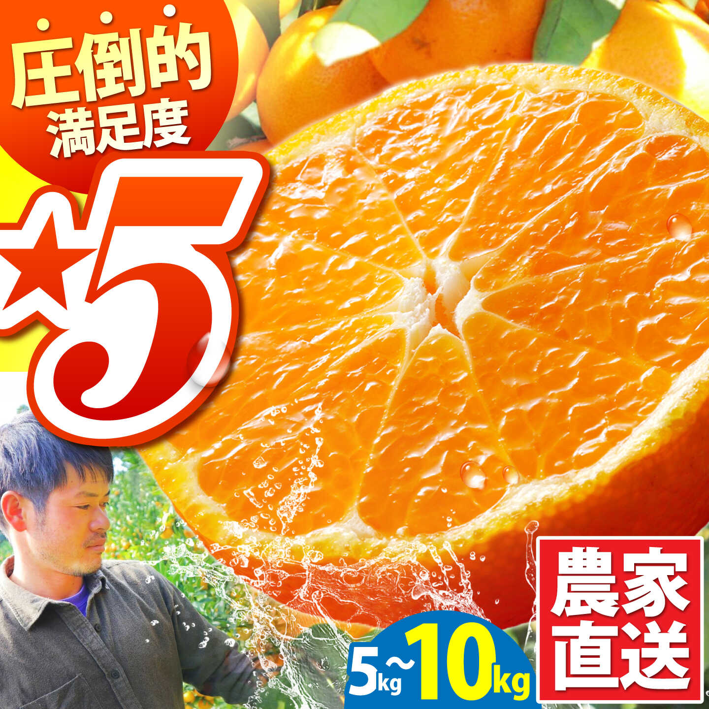 【ふるさと納税】【選べる内容量】【2026年10月下旬〜発送】温州みかん 10kg / みかん ミカン 蜜柑 フルーツ 甘い 果物 みかん / 南島原市 / 蜜柑屋まつお [SCQ002]