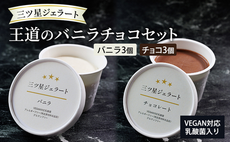 ジェラートセット 三ツ星ジェラート バニラチョコ 乳酸菌入り ジェラートセット【6個 バニラ3チョコ3】