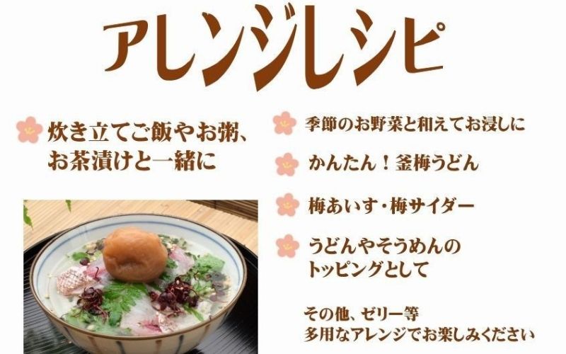 紀州南高梅 しそプレミアム塩分約6％ 500g ［YM13m］ 【yamada004A】