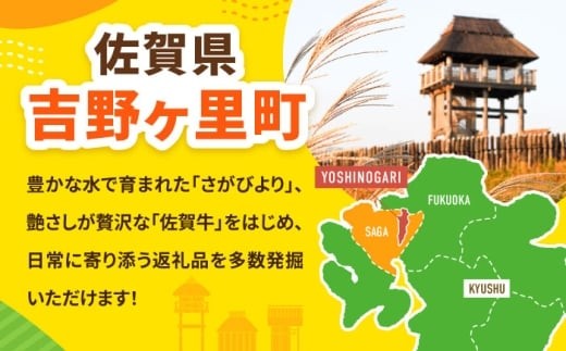 ヒレステーキ ひれすてーき 2枚 佐賀 牛肉 ステーキ 冷凍 国産牛 保存 和牛 黒毛和牛 国産 ヒレ A4 A5 a4 a5