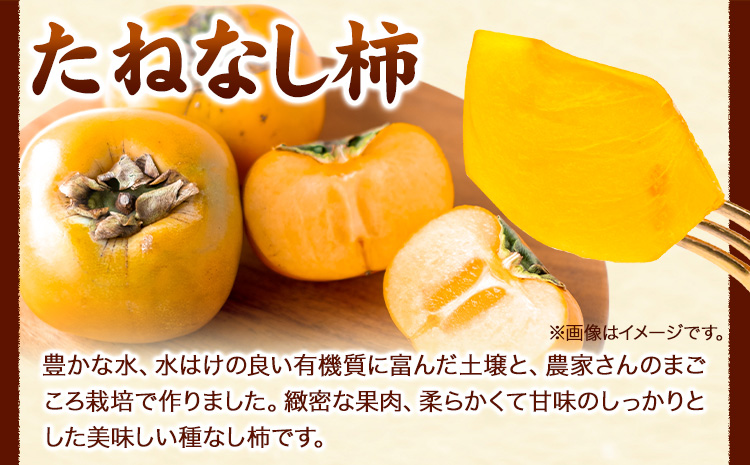 【秋の味覚】＜先行予約＞ 和歌山 産 の たねなし 柿  ご家庭用 約 7.5kg 厳選館 《2026年9月上旬-11月上旬頃出荷》 和歌山県 日高川町 柿 カキ かき ジューシー フルーツ たねなし
