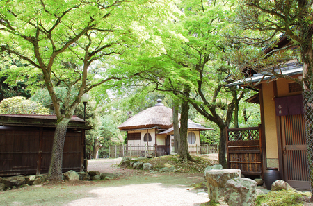 江戸三　若草鍋　ペアお食事券（ランチ・ディナー）１０月～３月限定　100-036