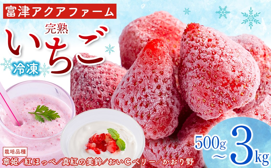 
                  富津アクアファーム　冷凍完熟いちご 500g 1kg 1.5kg 3kg 【内容量が選べます】　いちご フルーツ 果物 完熟 ストロベリー ベリー 冷凍 アクアファーム おすすめ 数量限定 章姫 紅ほっぺ 真紅の美鈴 おいCベリー かおり野 ヨーグルト スムージー ジャム お菓子 おやつ 氷いちご 房総 千葉県 富津市
                