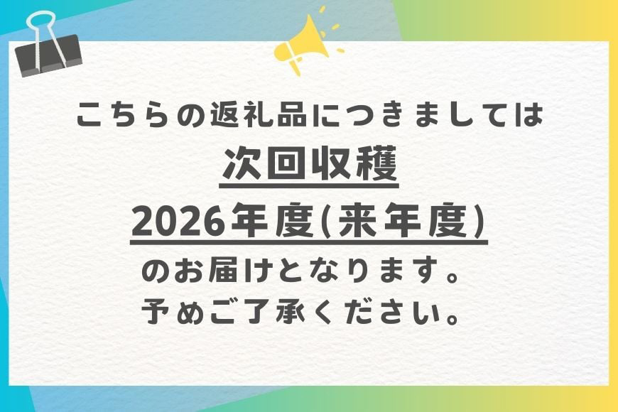 【2026年発送】コーラルファーム（優品1kg）アップルマンゴー（2～3玉）
