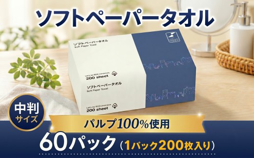 ペーパータオル 200枚 × 60パック バージンパルプ 使い捨てタオル 中判 ソフトタイプ レギュラー 手拭き キッチン 掃除 備蓄 防災 生活用品 消耗品 吸水 使い捨て ハンドタオル 紙タオル 圧縮 梱包 株式会社TSC TSC003