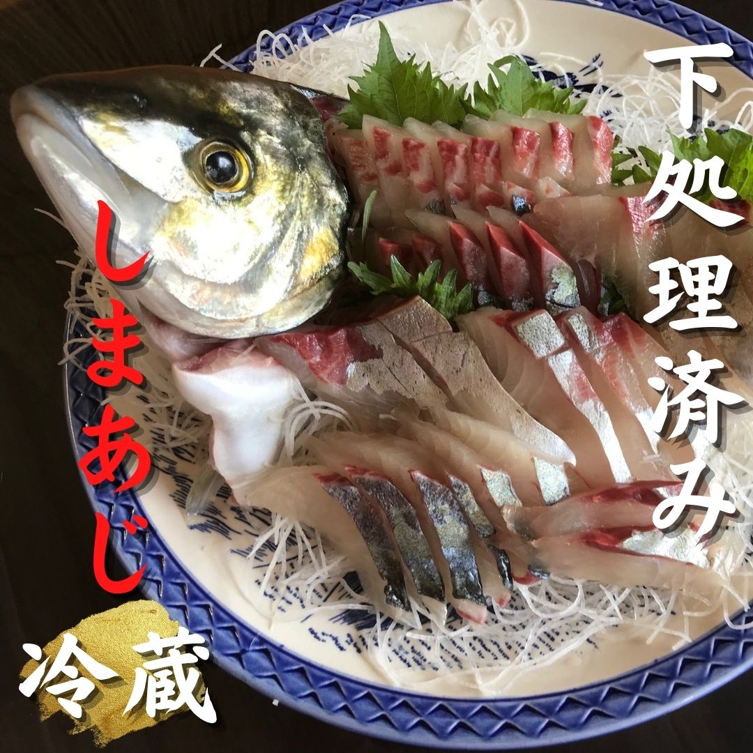 【ふるさと納税】 配送日指定可 しまあじ 1匹 下処理済み 朝どれ (冷蔵) お刺身 塩焼き 煮つけ 新姫熊野しまあじ 三重県熊野市