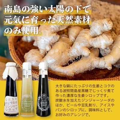 ふるさと納税 石垣市 【12カ月定期便】ジンジャーシロップ3本セット飲み比べ 12ヶ月 定期便 |  | 02