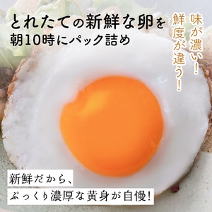 [定期便／12ヶ月] 月1回 さかもとのたまご 40個 (36個＋割れ保証4個) 合計480個｜坂本養鶏 大山の麓で育ったさかもとのたまご 赤玉卵 玉子 鶏卵 伊勢原市 赤玉卵 玉子 生卵 国産 TK