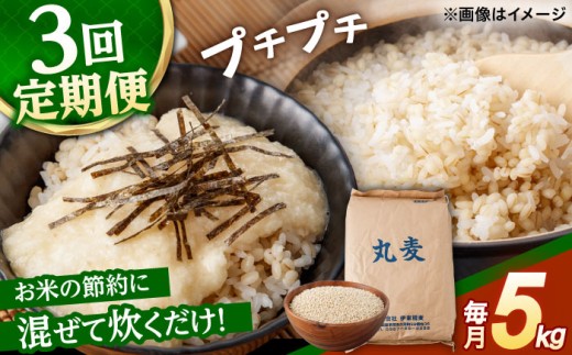 もち麦よりも『ぷりっ』とした弾力【3回定期便】長崎県産 丸麦 5kg / 麦 むぎ 雑穀 雑穀米 麦ごはん 麦飯 麦みそ 食物繊維 / 諫早市 / 有限会社伊東精麦 [AHBU014]