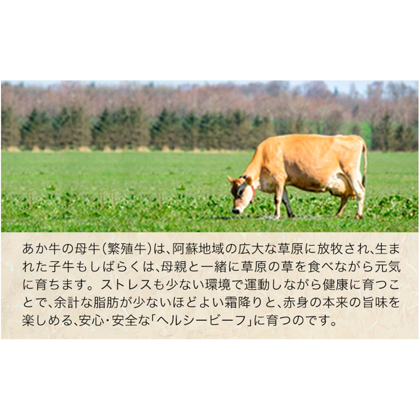 牛肉 6ヶ月定期便 あか牛（熊本県産）焼肉用500g 計6回お届け 南阿蘇食品《お申込み月の翌月から出荷開始》---sms_fasakyktei_23_87000_mo6num1---