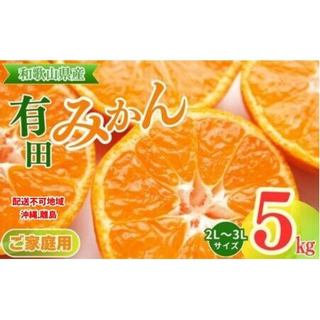 【先行予約】【ご家庭用】和歌山有田みかん約5kg(2L、3Lサイズ)【美浜町】