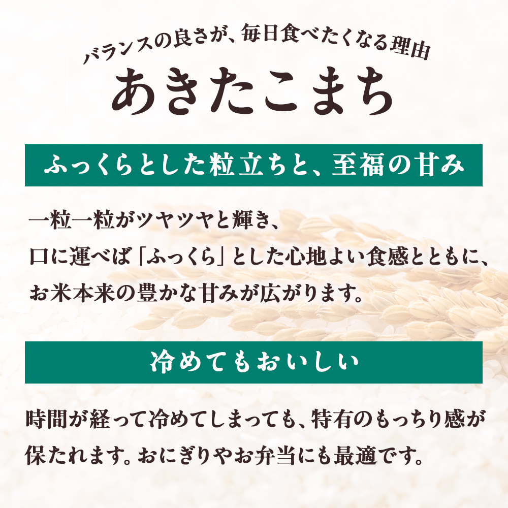 【定期便】令和8年産 あきたこまち 白米 5kg×12ヶ月【トライズ】
