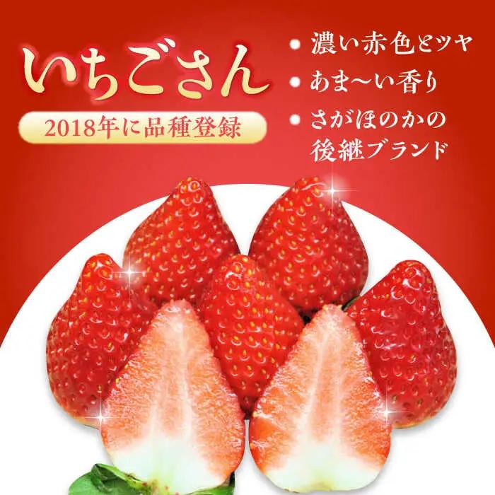 【2027年1月中旬より順次発送】紅白いちごのセット 佐賀県産 いちごさん・パールホワイト各220g / 佐賀県 / かわさきいちご [41ASBJ001]