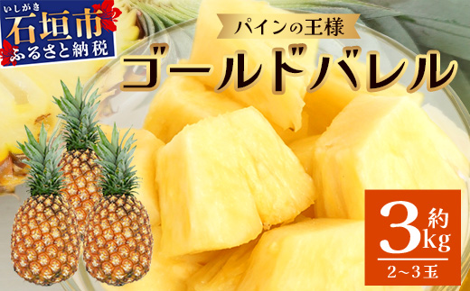 【2026年6月上旬より順次発送予定】最高級パイン ゴールドバレル2~3玉(約3kg)セット【 沖縄 石垣 パイナップル パイン ゴールド バレル 高級 セット 】TD-1-1