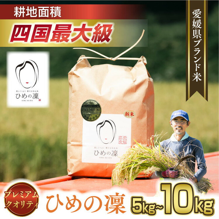 【ふるさと納税】＼選べる内容量／【R7年産】【愛媛県ブランド】ひめの凜 5kg/10kg（プレミアムクオリティ） ｜ お米 お米不足 お米品薄 おいしい お米 事業者支援 送料無料 白米 精米 愛媛県産 鬼北町 ※2025年11月上旬より順次発送予定