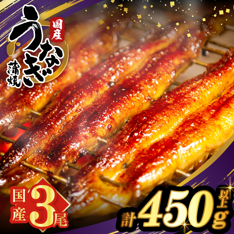 うなぎ蒲焼3尾(さんしょう・たれ付き)計450g以上_T026-0145【鰻 魚 魚介 加工品 九州産 国産 人気 ギフト 食品 おかず 惣菜 高級 お土産 贈り物 送料無料 プレゼント】
