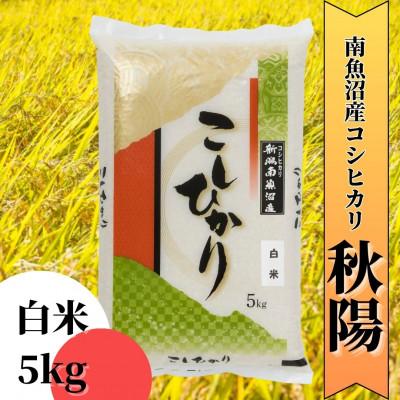 ふるさと納税 南魚沼市 【令和7年産 新米 】南魚沼産コシヒカリ「秋陽」(白米5kg)新潟県の特A地区南魚沼市の美味しいお米