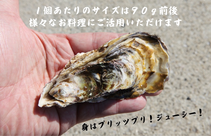 【先行予約】大阪湾牡蠣 3kg