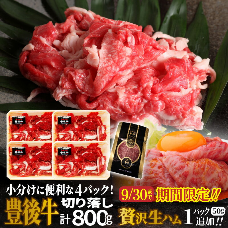【ふるさと納税】期間限定 小分けで便利な4パック!豊後牛切り落し計800g+おおいた和牛の贅沢生ハム50g 豊後牛 和牛 おおいた和牛 牛肉 黒毛和牛 切り落とし 小分け グルメ おつまみ サラダ すき焼き 肉じゃが カレー 牛丼 冷凍