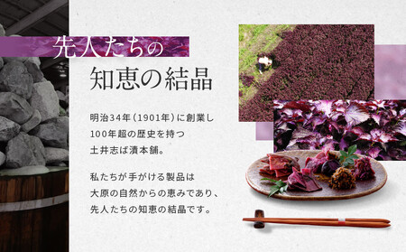 【土井志ば漬本舗】大原の里京漬物9種10点詰め合わせ W-25｜京都 漬物 有名店 人気セット