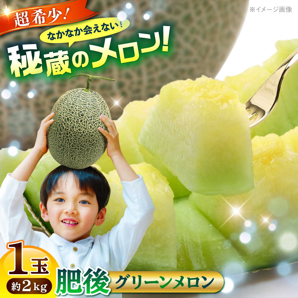【ふるさと納税】【2026年5月より発送 数量限定】肥後グリーンメロン 1玉 計約2kg 【合同会社 福福堂】[AYAC053] メロン めろん 人気 鮮度 味 人気 評判 産地 高級 種類 甘さ フレッシュ ジューシー 熊本県 合志 果物 くだもの フルーツ 人気 季節 おすすめ ブランド