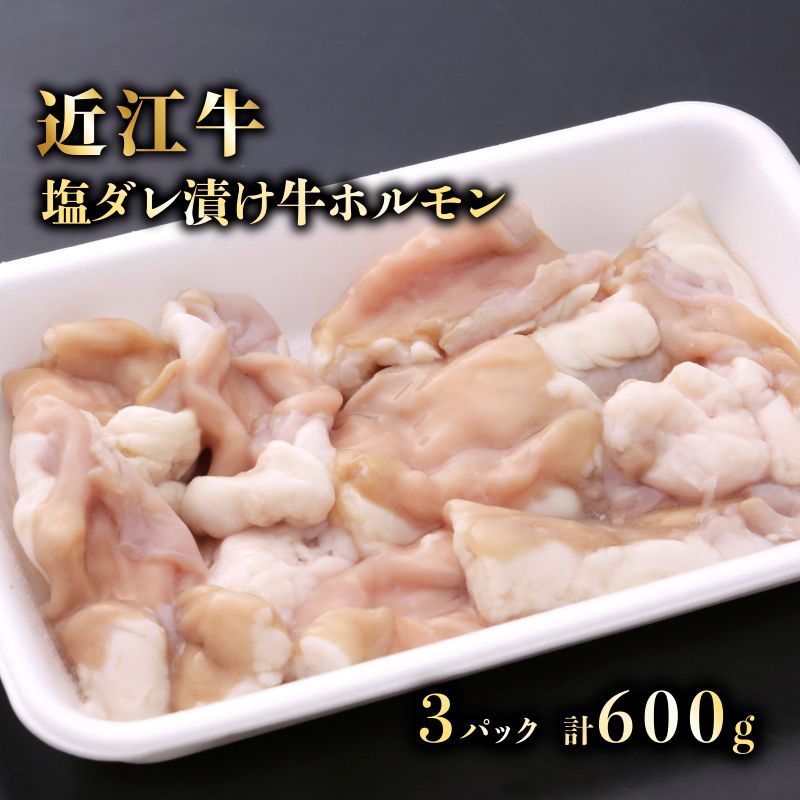 【ふるさと納税】 近江牛 ホルモン 塩だれ タレ漬け 200g × 3 計600g 特選 牛ホルモン もつ 生 ホルモン焼き 肉 牛肉 牛 和牛 国産 黒毛和牛 A5ランク A5 おかず 焼肉 バーベキュー 小分け モツ鍋 モツ煮 メス牛 一頭買い 滋賀 彦根