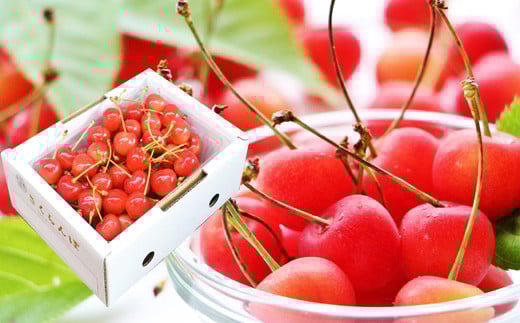 08-10-012　さくらんぼ(佐藤錦2L)500g