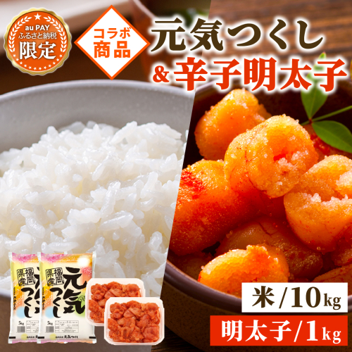 【auPAYふるさと納税限定】福岡県産元気つくし10kg & 訳あり！博多の味本舗の辛子明太子（切れ子）1kg【無着色】
