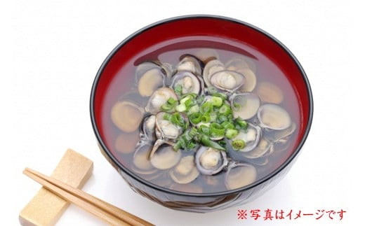 宍道湖漁師の大盛Lサイズ1.5kg大和しじみ（しめ縄干支箸付）