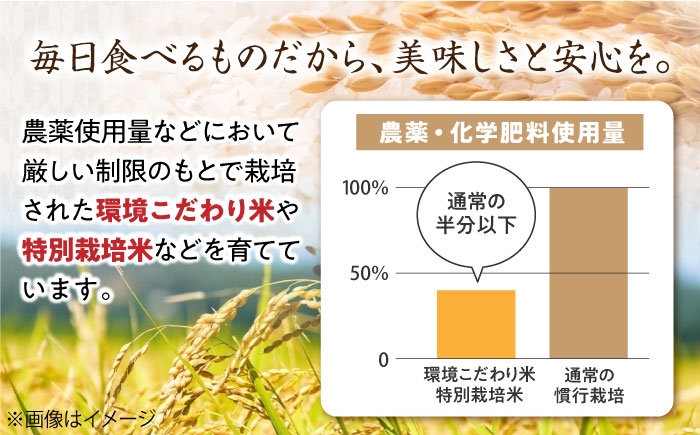 ミルキークイーン 米 お米 白米 10kg ご飯 白飯 国産 精米 おいしいお米 おにぎり こだわり 新米 冷めても美味しい