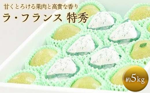 
            【令和7年産先行予約】 十三代目 佐藤市右衛門 ラ・フランス 約5kg (10～16玉 特秀 3～6L) 《令和7年11月上旬～発送》 『旬の果実 佐藤市右衛門農園』 ラフランス 西洋梨 洋なし 果物 フルーツ デザート 山形県 南陽市 [679] 
          