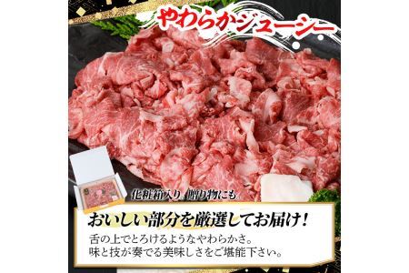 博多和牛A5～A4 切り落とし500g＜化粧箱入＞牛肉 黒毛和牛 国産 霜降り＜離島配送不可＞【ksg0352】【マル五】