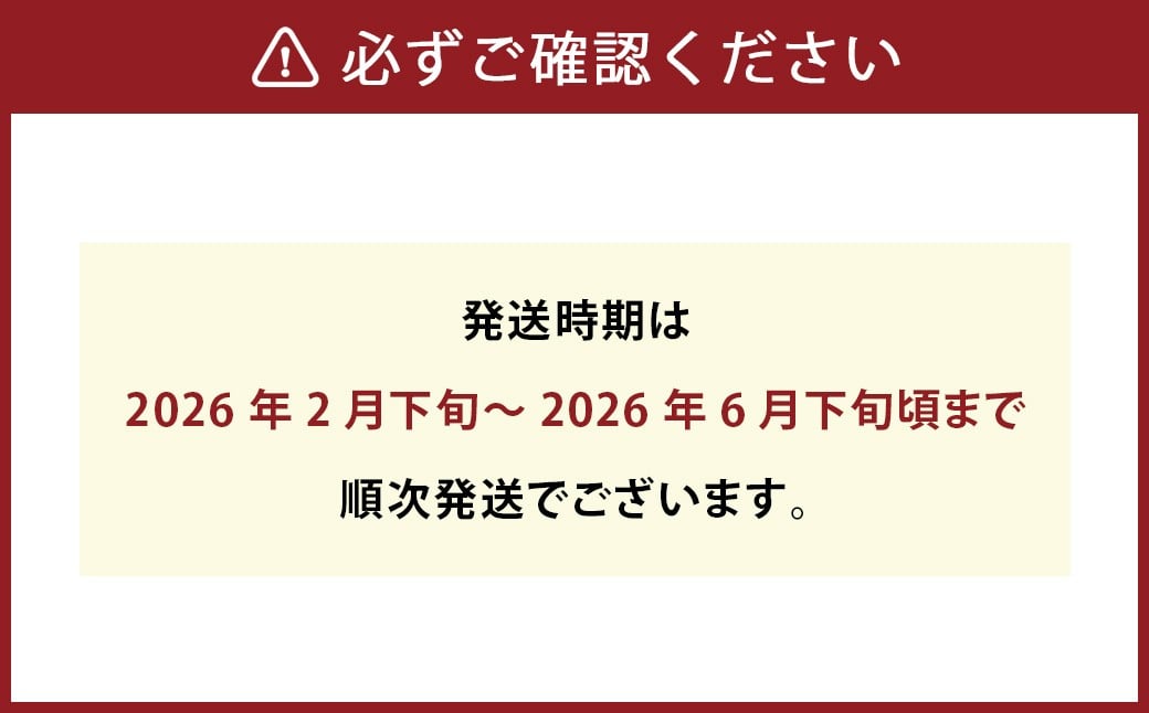 農家の休憩デコ 訳あり（C品 15kg）