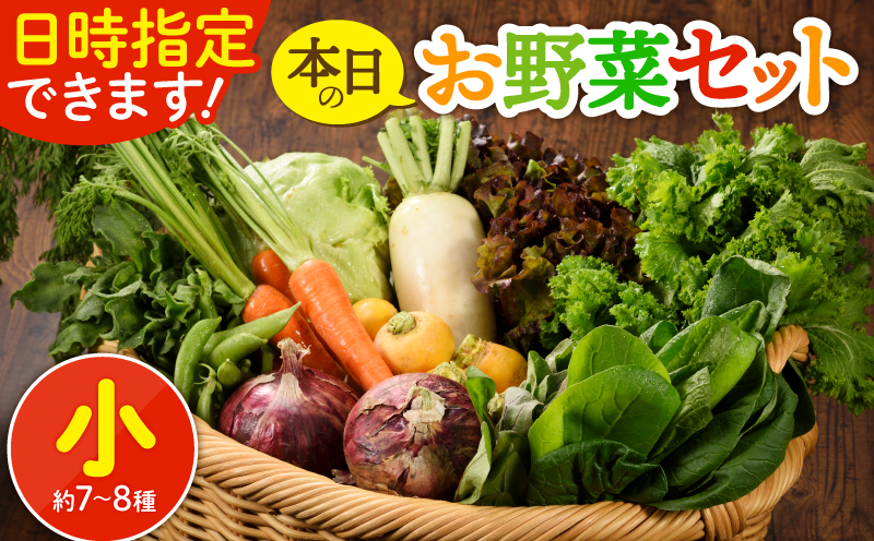 日時指定可能！本日のお野菜セット（サイズ小）