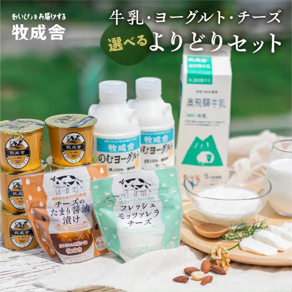 牧成舎 飛騨産生乳で作るこだわりの牛乳/ヨーグルトチーズの乳製品セット [B0096] 乳製品
