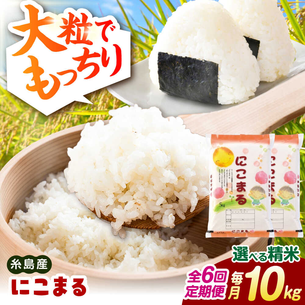 【ふるさと納税】【全6回定期便】【精米方法が選べる！】にこまる 10kg（5kg×2袋） 糸島市 / 玄米・精米専門店 新飼宗一郎商店[ADE027] 白米 玄米 常温10万円143000円
