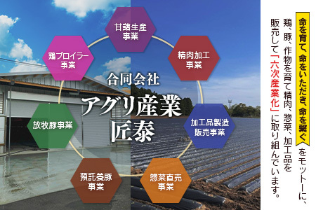 宮崎県産鶏肉 やわらか若鶏2種（むね・手羽元）合計5kg【A285-2505】