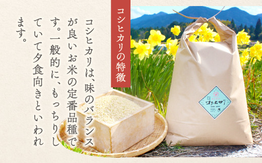 コシヒカリは、味のバランスが良いお米の定番品種です。
一般的に、もっちりしていて夕食向きと言われます。