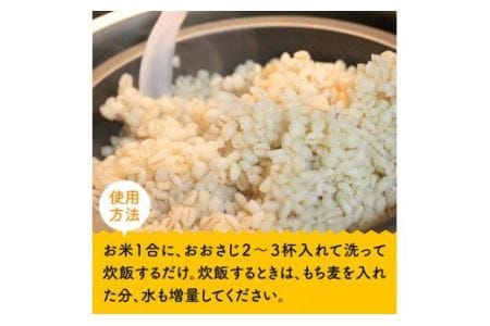 令和8年産 もち麦500g×5袋 【 ふるさと納税 国産 麦 もち麦 食物繊維 数量限定 宮崎県産 川南町産 送料無料 】