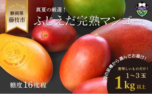 【 先行予約 : 2026年7月頃より順次発送 】 完熟マンゴー 1kg 糖度約16度程 厳選 フルーツ 果物 国産 数量限定 マンゴー トロピカル フルーツ アーウィン マハチャノック ナンドクマイ 紅キンコウ キーツ 静岡県 藤枝市