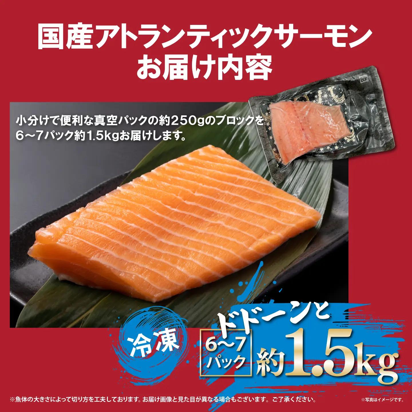 国産サーモン 冷凍 6～7P 約1.5kg サーモン