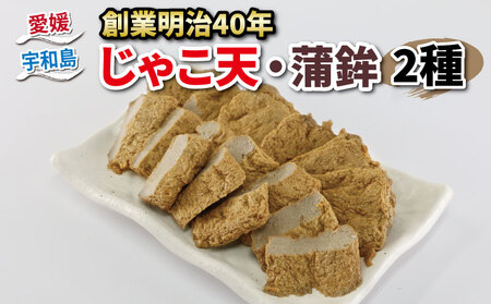 練物 じゃこ天 蒲鉾 2種 セット じゃこ天 8枚 紅白かまぼこ 2本 野中かまぼこ店 練物練物練物練物練物練物練物 蒲鉾蒲鉾蒲鉾蒲鉾 C010-014001