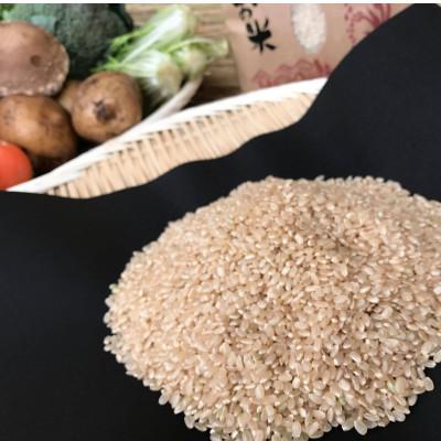 ふるさと納税 潮来市 【玄米5kg】『身体が喜ぶ野菜とお米』詰め合わせ(おまかせ)潮来はぐくみのもり |  | 01