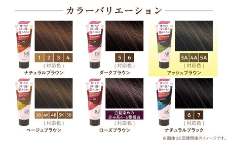 ダリヤ サロンドプロ カラートリートメント 3個セット【アッシュブラウン】 / 稲沢市 / 日興商事株式会社 [BMBK003-03]