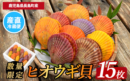 《令和7年11月より順次発送予定》＜期間・数量限定＞長島特産！ヒオウギ貝(15個)【口之福浦ヒオウギ貝出荷グループ】kuchi-860